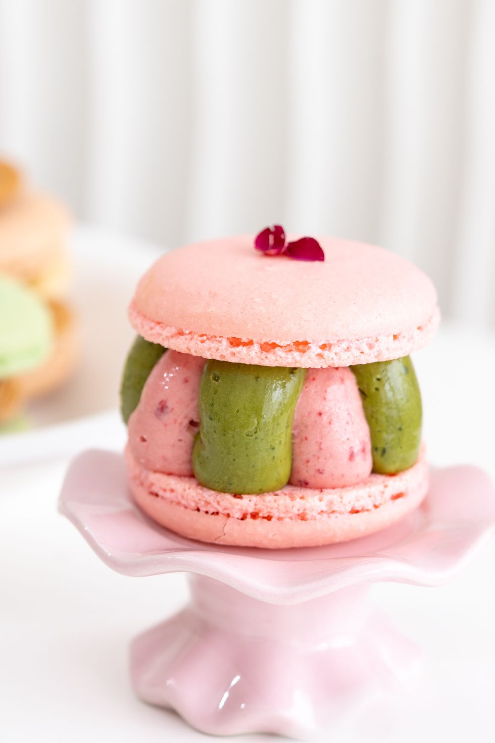 Fatcarons 1.0 Macaron Baking Class
