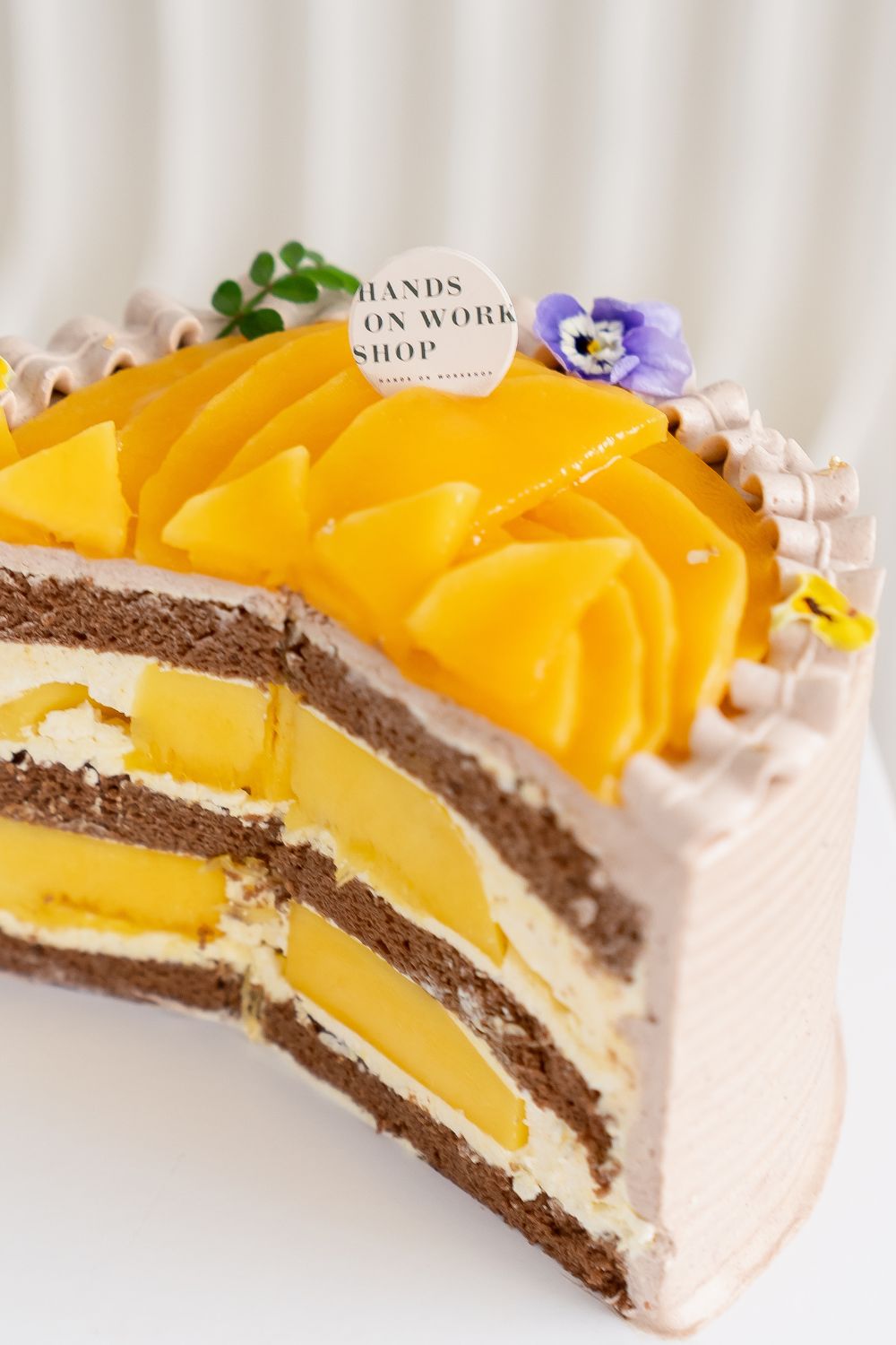 Mango Chocolate Cake Baking & Decoration Class